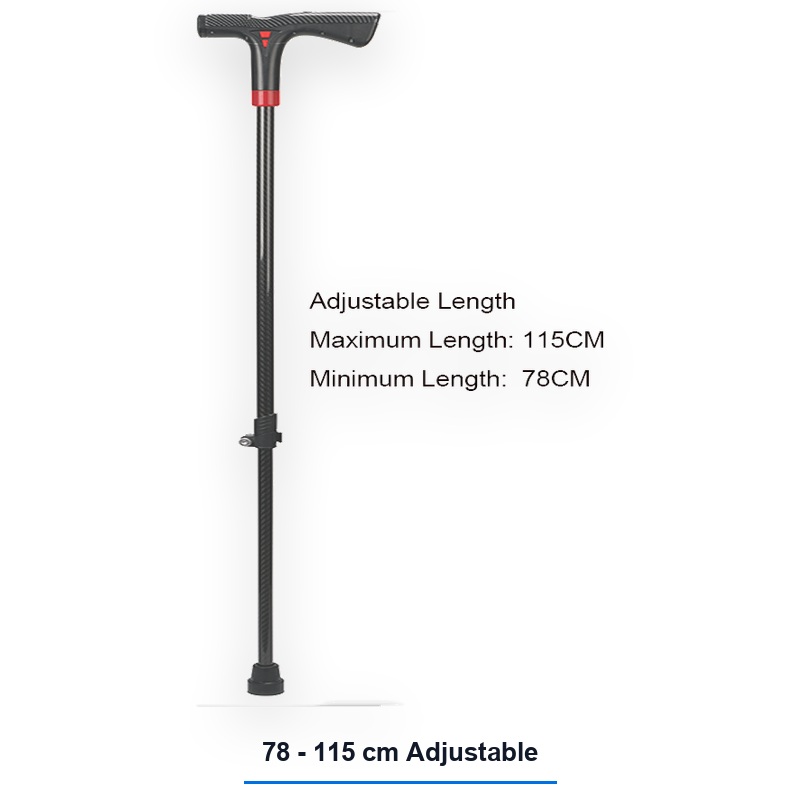 Smart Cane