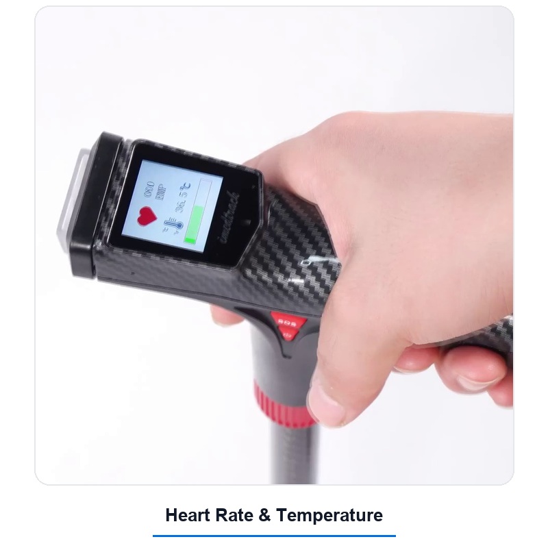 Smart Cane
