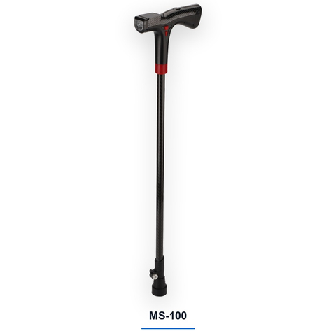 Smart Cane